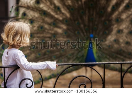 Young little girl meeting indian peacock. Focus on the girl.