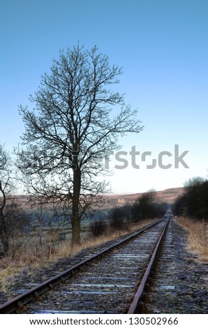 Tree and rails with Castle Bolton in the distance. Wensleydale. UK