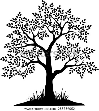 black tree silhouette for your design