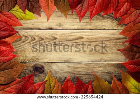 Autumn leaves frame on wooden background. Virginia creeper leaves. Top view