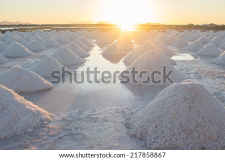 Sea salt mounds at salt marsh on sunset