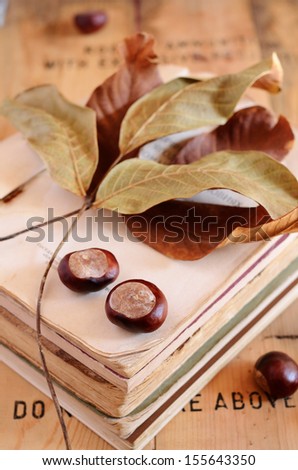 Still life with chestnuts, vintage books and fall leaves on rusted wooden background