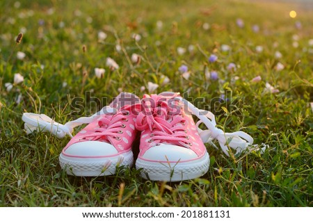 Pink dotted gym shoes in green grass in sunrise time