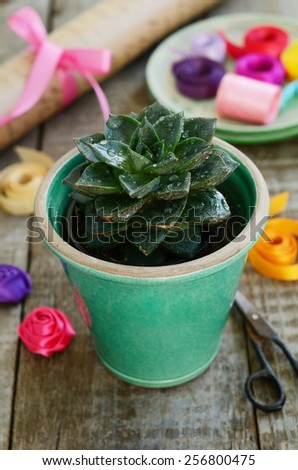 Flower shop - stone rose cactus in green pot, colorful ribbons and decor, wrapping paper and scissors on wooden table