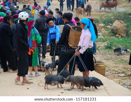 HAGIANG, VIETNAM, OCTOBER 20: Unidentified ethnic minority woman sell pigs in a traditional market on October 20, 2011 in Hagiang, Vietnam. Hagiang is a most northern province in Vietnam.