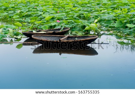 Couple of boats in a  lotus lake in Hanoi, Vietnam