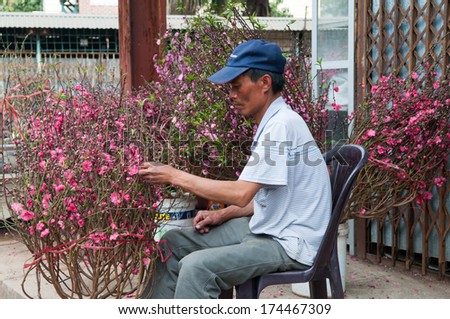 HANOI, VIETNAM, JANUARY 28: Unidentified man sell peach tree for decoration in lunar new year on January 28, 2014 in Hanoi, Vietnam. This is a tradition of vietnamese people in lunar new year