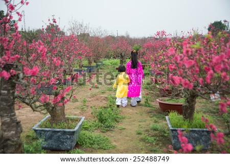 HANOI, VIETNAM, FEB 8: Two kids with traditional dress (ao dai) in peach flower garden on February 8, 2015 in Hanoi, Vietnam. Peach flower is used for decoration in lunar new year in Vietnam.