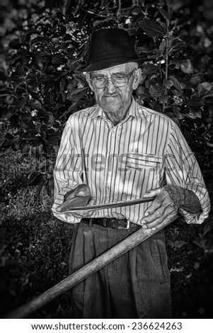 Wrinkled and expressive old farmer sharpening his scythe with an apple tree in the background. Black and white picture.