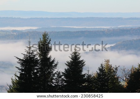 Fog in the valley in the morning light