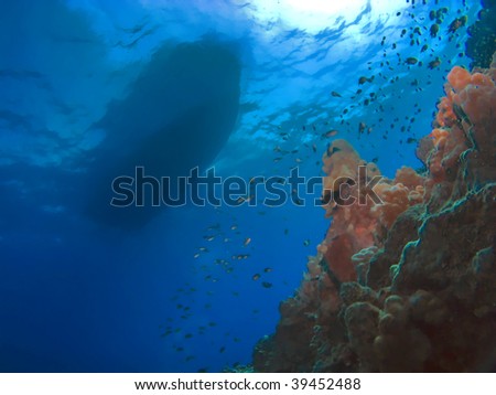 Fantasy Scuba Diving Boat and Reef in Kona Hawaii