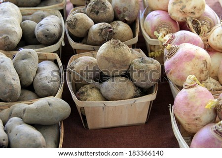 Containers filled with farm fresh root vegetables on table at local farmers market.