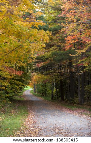 Gravel road leading through a canopy of trees, Stowe, Vermont, USA