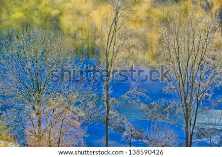 Sunrise on ice covered trees on a cold winter morning, Stowe, Vermont, USA