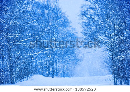 Digitally enhanced image of snow falling on trees, Stowe, Vermont, USA