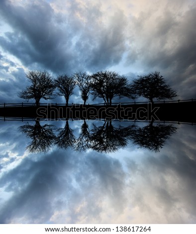 Digially manipulated mirrored image of five trees along a roadway silhouetted against stormy clouds, Stowe Vermont, USA