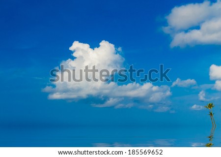 Palm trees with puffy white clouds reflected in a calm ocean.