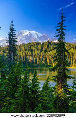 Overlooking a lake and a forest of pine trees with Mt. Rainier looming in the distance, Mt. Rainier National Park, Washington, USA.