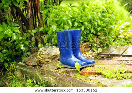 Rain garden wet weather