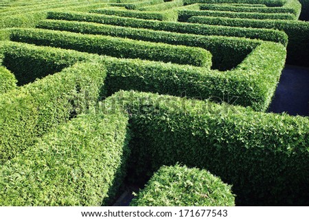 labyrinth inner ear meander maze