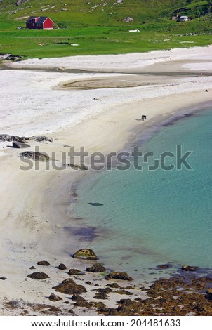 Dream beach on the West side of Lofoten Islands, Norway