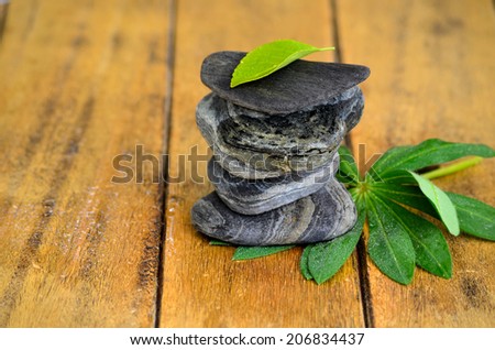 Wellness stones Balance Flower