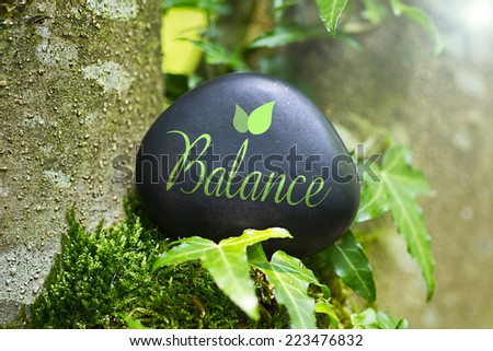 Similar – Image, Stock Photo Heart of stone Lifestyle