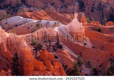 Similar – Foto Bild Bryce Canyon Umwelt Natur