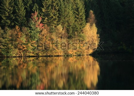 dark river and trees, Fall Colors