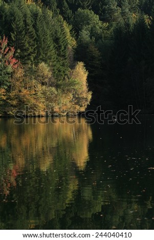 dark river, Fall Colors