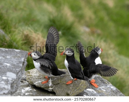 Similar – Image, Stock Photo Three-seated rock in the evening light