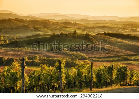 Similar – Image, Stock Photo Tuscan hill with sunflowers in blossom and typical farmhouse