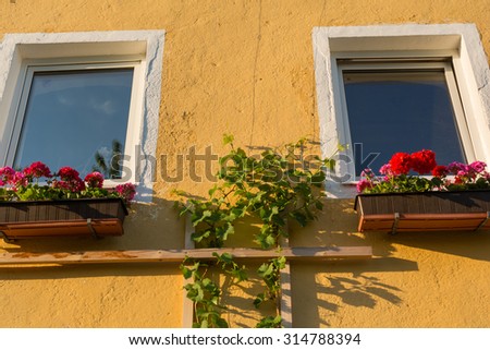Window with geraniums in flower boxes