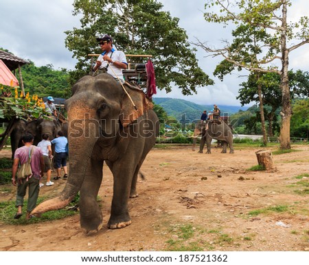 Chiangrai Thailand-November 15: tourist come visit  and ride elephant sightseeing  around Karen Elephant hill tribe village on November 15,2013 in,Chiangrai,Thailand. The amazing trip in Chiangrai