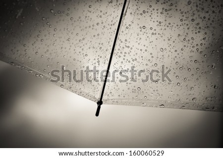 Close up scene; Transparent Umbrella with raindrop.