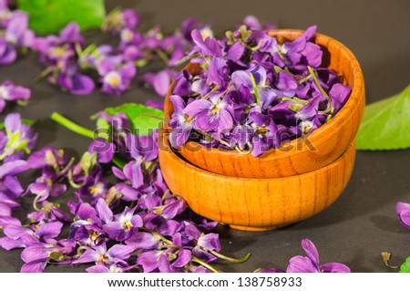 Scattered wild fresh violet flowers