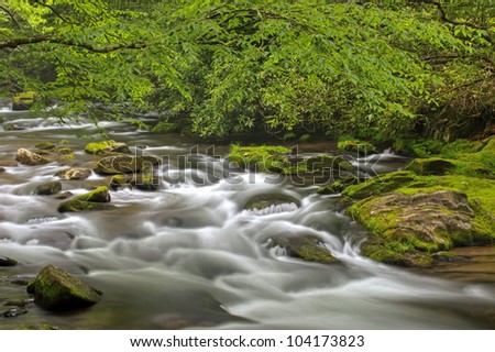 Spring landscape of the Oconaluftee River framed by branches and captured with motion blur, Great Smoky Mountains National Park, North Carolina, USA