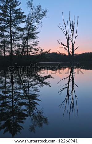 Sunset with silhouetted trees, Hall Lake, Yankee Springs State Park, Michigan, USA