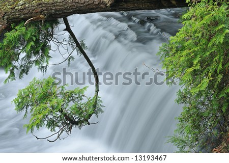 Upper Wagner Falls framed by cedar trees, spring, Michigan\'s Upper Peninsula, USA
