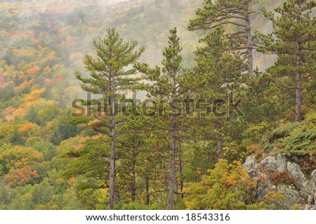 Autumn landscape in fog, Lake of the Clouds, Porcupine Mountains Wilderness State Park, Michigan\'s Upper Peninsula, USA