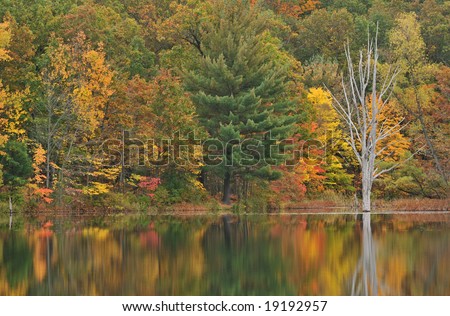 Autumn Shoreline Of Hall Lake, Yankee Springs State Park, Michigan, Usa ...