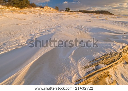 Winter, Saugatuck Dunes State Park, Lake Michigan, Michigan, USA