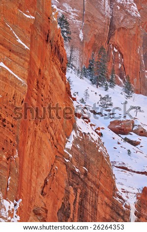 Winter landscape of cliff and conifers, Kolob Canyons, Zion National Park, Utah, USA