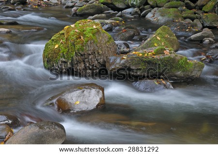 Spring landscape of the Little River, Great Smoky Mountains National Park, Tennessee, USA