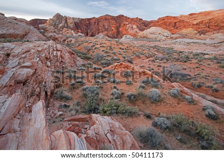 Desert landscape, Valley of Fire State Park, Nevada, USA