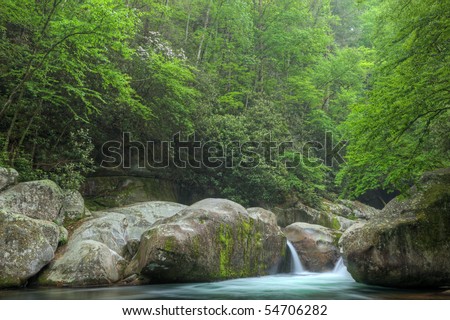 Summer landscape of a cascade on Big Creek, Great Smoky Mountains National Park, Tennessee, USA