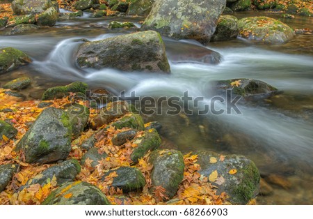 Autumn landscape of Big Creek framed by rocks and leaves, Great Smoky Mountains National Park, Tennessee, USA