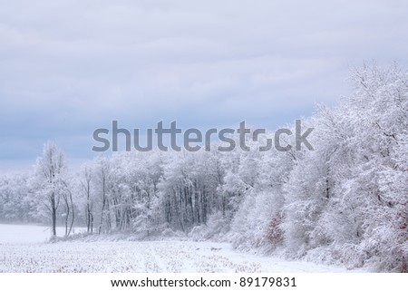 Winter landscape of snow flocked trees at edge of field, Michigan, USA