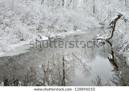 Winter creek framed by snow flocked trees and with reflections in calm water, Michigan, USA