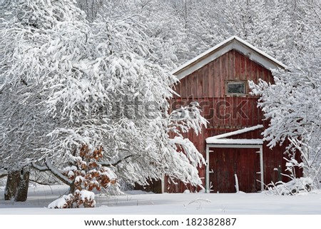 Winter forest flocked with fresh snow and red barn, Michigan, USA